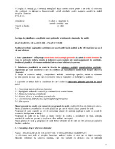 Audit Financiar Bancar - Pagina 9
