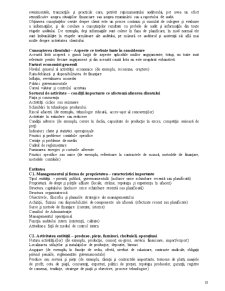 Audit Financiar Bancar - Pagina 10
