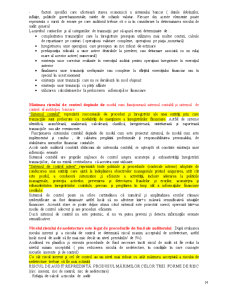 Audit Financiar Bancar - Pagina 14