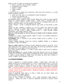 Audit Financiar Bancar - Pagina 16