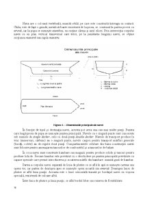 Bazele comerțului - Pagina 78
