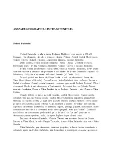 Profil Vaslui - Bacău - Odorheiu Secuiesc - Pagina 2