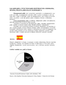 Salarizarea funcționarilor publici în Germania, Spania, Franța, Belgia și Danemarca - Pagina 1