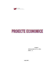 Proiect economic în comerț - Lissa Fashion - Pagina 1