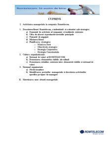 Analiza situației manageriale în Romtelecom - Pagina 3