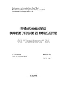 Bugete publice și fiscalitate - SC Dumbrava SA - Pagina 1