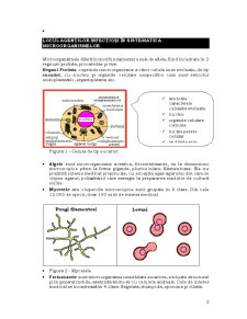 Microbiologie - Pagina 2