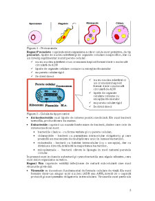 Microbiologie - Pagina 3