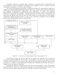Controllingul Sistemelor de Planificare și Control - Pagina 5