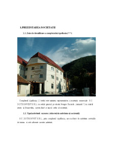 Proiect practică - Hotel Apollonia - Pagina 1