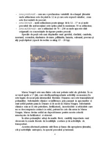 Poluarea Mării Negre - Pagina 4