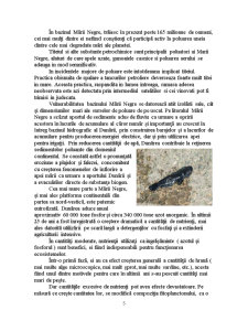 Poluarea Mării Negre - Pagina 5