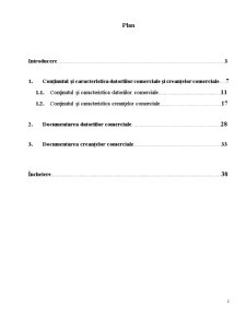 Contabilitatea datoriilor și creanțelor comerciale - Vinăria Bardar - Pagina 2