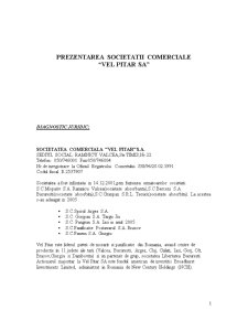 Proiect de practică - prezentarea societății comerciale - SC Vel Pitar SA - Pagina 5