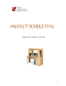 Proiect Marketing - Birou pentru Computer - Pagina 1