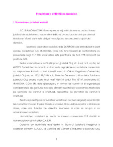 Studiu de caz pe o entitate economică - SC Iramona Com SRL - Pagina 1