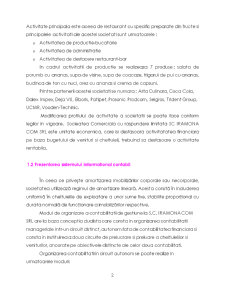 Studiu de caz pe o entitate economică - SC Iramona Com SRL - Pagina 2