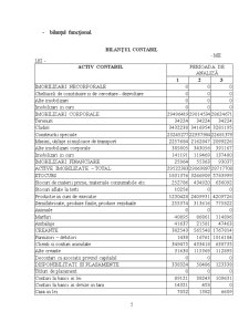Analiza financiară a firmei SC Alfar SA - Arad - Pagina 3
