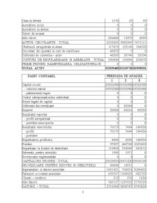 Analiza financiară a firmei SC Alfar SA - Arad - Pagina 4