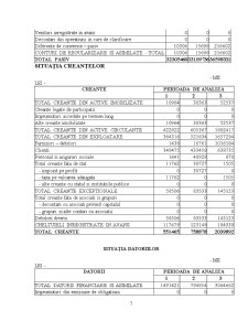 Analiza financiară a firmei SC Alfar SA - Arad - Pagina 5