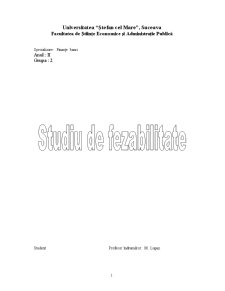 Studiu de fezabilitate - SC General Construct SRL Fălticeni - Pagina 1