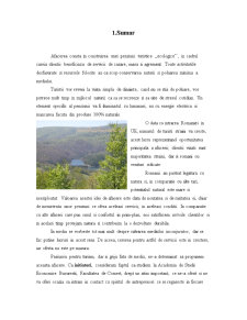 Pensiunea ecologică - La Visători - Pagina 2
