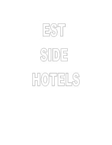 Plan de Afacere - Est Side Hotels - Pagina 1