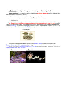 Biocenozele din Marea Neagră - Pagina 3