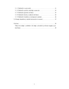 Analiza activității și dezvoltarea SC Electroncis SA - Pagina 3