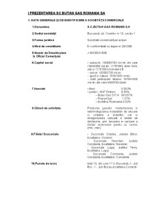 Analiza managerială la SC Butan Gas SA - Pagina 1