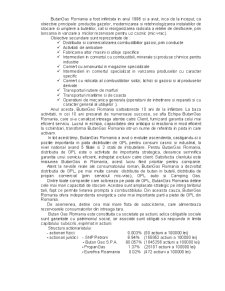 Analiza managerială la SC Butan Gas SA - Pagina 2