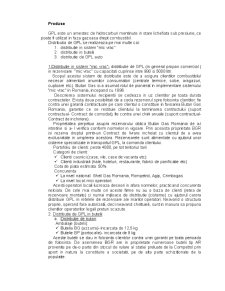 Analiza managerială la SC Butan Gas SA - Pagina 3