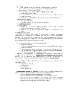 Analiza managerială la SC Butan Gas SA - Pagina 4