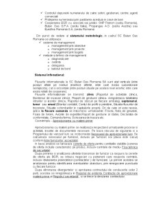 Analiza managerială la SC Butan Gas SA - Pagina 5