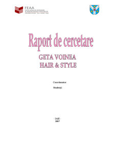 Raport de cercetare - Geta Voinea Hair & Style - Pagina 1