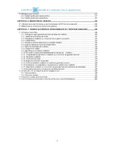 Studiu Monografic -Tehnica Operatiunilor Bancare - Realizat la BCR - Pagina 3