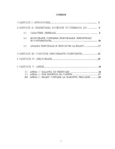 Monografie Contabila - Pagina 2
