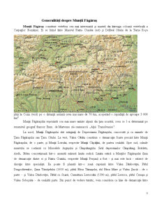 Oferta Turistică a Zonei Montane Făgăraș - Pagina 3