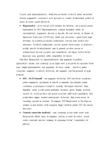 Carrefour Orhideea - Pagina 3