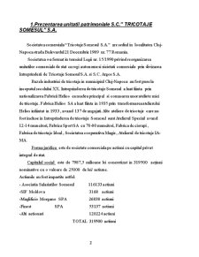Practică contabilitate managerială - Tricotaje Someșul SA - Pagina 2