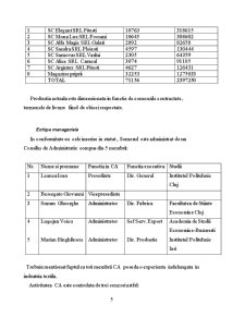 Practică contabilitate managerială - Tricotaje Someșul SA - Pagina 5