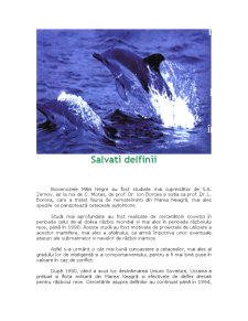 Delfinii din Marea Neagră - Pagina 1