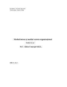 Mediul intern și mediul extern organizațional - studiu de caz - SC Alien Concept SRL - Pagina 1