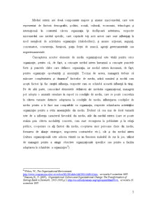Mediul intern și mediul extern organizațional - studiu de caz - SC Alien Concept SRL - Pagina 5