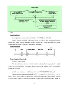 Caracterizarea Sistemului Informațional Contabil - Pagina 3