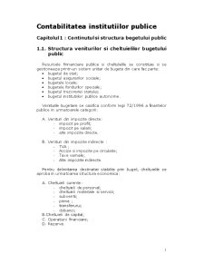 Contabilitatea Institutiilor Publice - Pagina 1