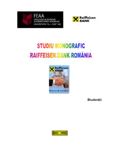 Studiu Morfologic Raiffeisen România - Pagina 1