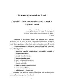 Structura Organizatorică a Firmei - Pagina 2