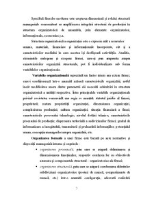 Structura Organizatorică a Firmei - Pagina 4