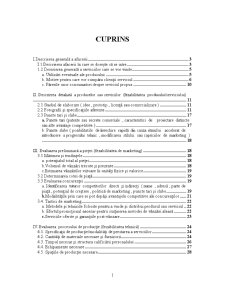 Structura Orientativă a Studiului de Fezabilitate a unei Idei de Afaceri - Pagina 1